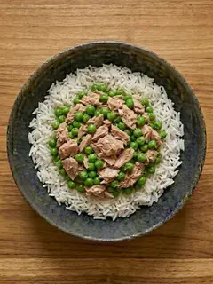 Arroz con atun y verduras al microondas